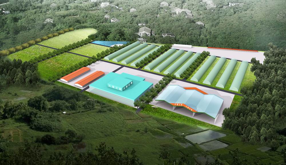 广州大观农业公司生产基地规划图设计500元 2008/9/20